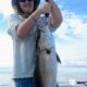 Surf City, Topsail Island - Wrightsville Beach - Carolina Beach Fishing Report 9-4-2017 2