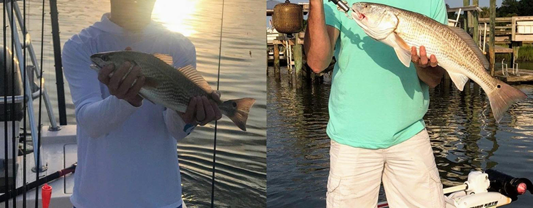 6-11-2018 NX Charters - Surf City, Topsail Island Fishing Report 10