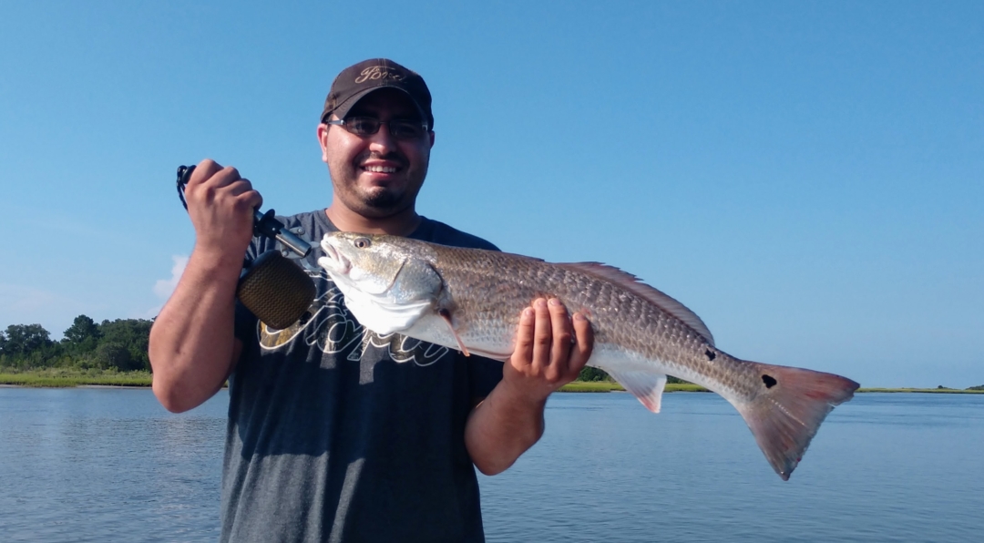 8-11-2018 NX Charters – Surf City, Topsail Island Fishing Report 2