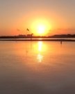 9-30-2018 NX Charters – Surf City, Topsail Island, Wrightsville & Carolina Beach Fishing Report 2